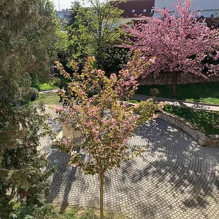 Negy Evszak Apartman- Apartment